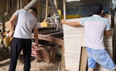 建筑胶合板生产厂家生产工序