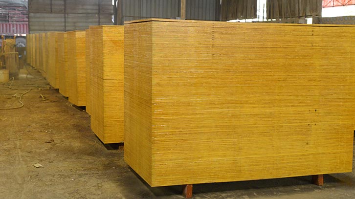 广西桂林松木皮桉木胶合板