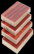 什么是建筑木胶合板？