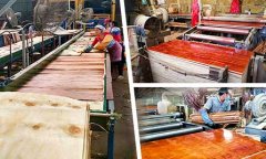 广西桂林桉木胶合板批发
